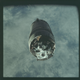 Illustration for article titled Our Favorite Images From NASAs Incredible New Apollo Gallery